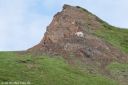 Filename=Alaska_20160626_0803_web~0.jpg
Filesize=200KiB
Dimensions=1200x800
Date added=Aug 01, 2016 Alaska_20160626_0803_web~0.jpg