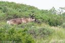 Filename=Alaska_20160626_0956_web.jpg
Filesize=268KiB
Dimensions=1200x800
Date added=Aug 01, 2016 Alaska_20160626_0956_web.jpg