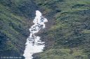 Filename=Alaska_20160626_1188_web.jpg
Filesize=316KiB
Dimensions=1200x800
Date added=Aug 01, 2016 Alaska_20160626_1188_web.jpg