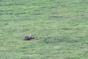 Alaska_20160626_1508_web.jpg