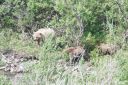 Alaska_20160626_1748_web~0.jpg