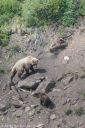 Alaska_20160626_1825_web.jpg