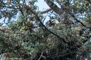 Alaska_20160629_2142_web.jpg