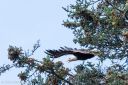 Alaska_20160629_2205_web.jpg