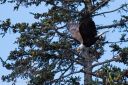Alaska_20160629_2210_web.jpg