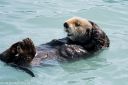Alaska_20160702_3203_web.jpg