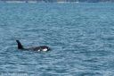 Alaska_20160702_3808_web.jpg