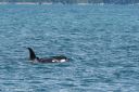 Alaska_20160702_3811_web.jpg