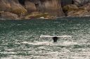Alaska_20160702_4441_web.jpg