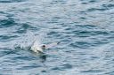 Alaska_20160702_4477_web.jpg