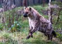 Albert_Laerke_20231118_30_web.jpg