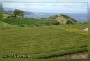 AzorFurnas008-web.jpg