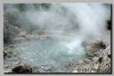 AzorFurnas146-web.jpg