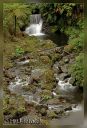 Azor_Ost-tur067-redB-web.jpg