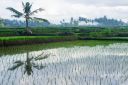 Bali_20180707_0065_web_logo.jpg