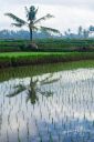 Bali_20180707_0067_web_logo.jpg