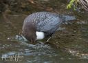 Bygholm_20201216_167-Edit_web.jpg