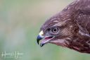 Caspers_skjul_20200122_173_web.jpg