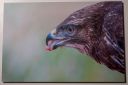 DSC_3943UdstillBilled_web.jpg