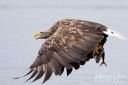 DSC_4337_web-2.jpg