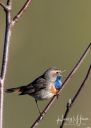 Filso_20200422_031-Edit_web.jpg