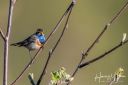 Filso_20200422_071-Edit_web.jpg