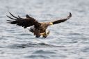 Flatanger_20170808_0074_web.jpg