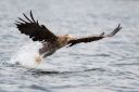 Flatanger_20170808_0076_web.jpg