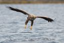 Flatanger_20170808_0086_web.jpg