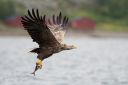 Flatanger_20170808_0100_web.jpg