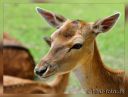 Hannerup_098-bes-web.jpg