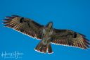 Hannerup_20200413_22_web.jpg