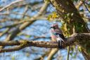 Hannerup_20200413_39-Edit_web.jpg