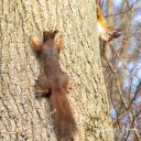 Hannerup_20230208_47_web.jpg