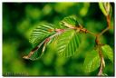 Hannerup_51-red-web.jpg