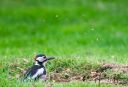 Haven_Saette_20210525_03-Edit_web.jpg