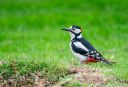Haven_Saette_20210525_21-Edit_web.jpg