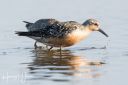 HirtshalsOststrand_20190825_188_web~0.jpg