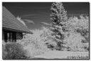 Filename=IR-test_31-chWB-web.jpg
Filesize=200KiB
Dimensions=1044x709
Date added=Jul 30, 2013 IR-test_31-chWB-web.jpg