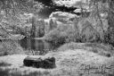 IR_forar_20190512_24-Edit_web.jpg