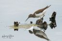KongensKaer_20180807_32_web.jpg