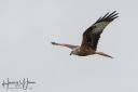 Langeland_20231011_A_266_web.jpg