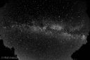 Maelkevejen_20150813_21-red-BW-web.jpg