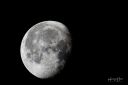 Manen_DSC_6332_web-h.jpg
