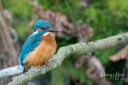 Moseso_Isugl_20180418_32_web-2.jpg