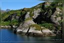 Filename=Nordkap-1923-red-22jun-800-web-bord.jpg
Filesize=166KiB
Dimensions=832x563
Date added=Aug 24, 2010 Nordkap-1923-red-22jun-800-web-bord.jpg