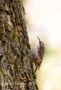 Randers_20240125_35_web.jpg