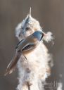 Rands_20220324_267-Edit_web.jpg