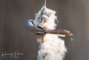 Rands_20220324_290-Edit_web.jpg