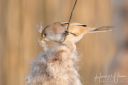 Rands_20220325_383_web.jpg